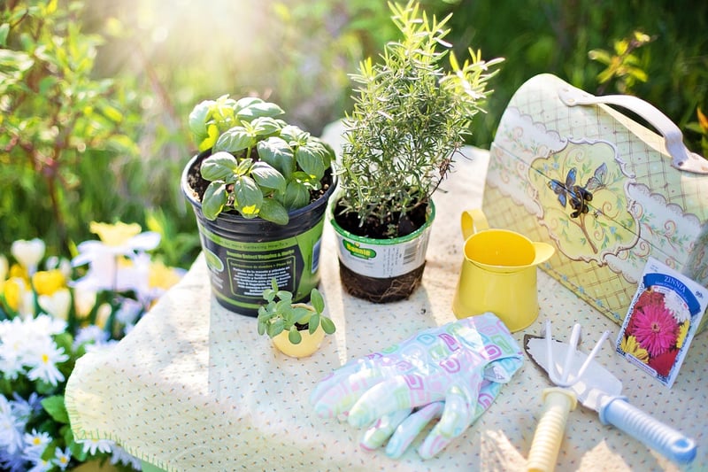 Herb Garden Kit